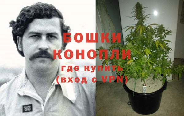 трава Алексеевка