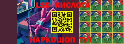 спиды Новодвинск