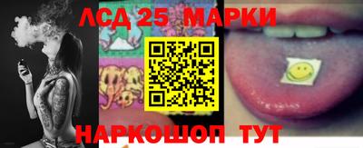spice Новозыбков