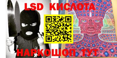 спиды Новодвинск