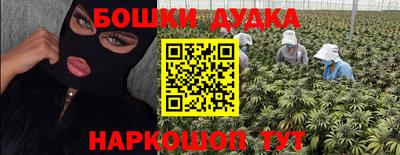 спиды Новодвинск