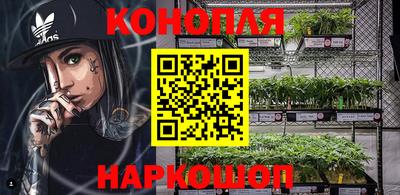 spice Новозыбков