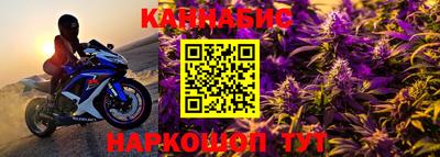 спиды Новодвинск