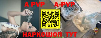 спиды Новодвинск